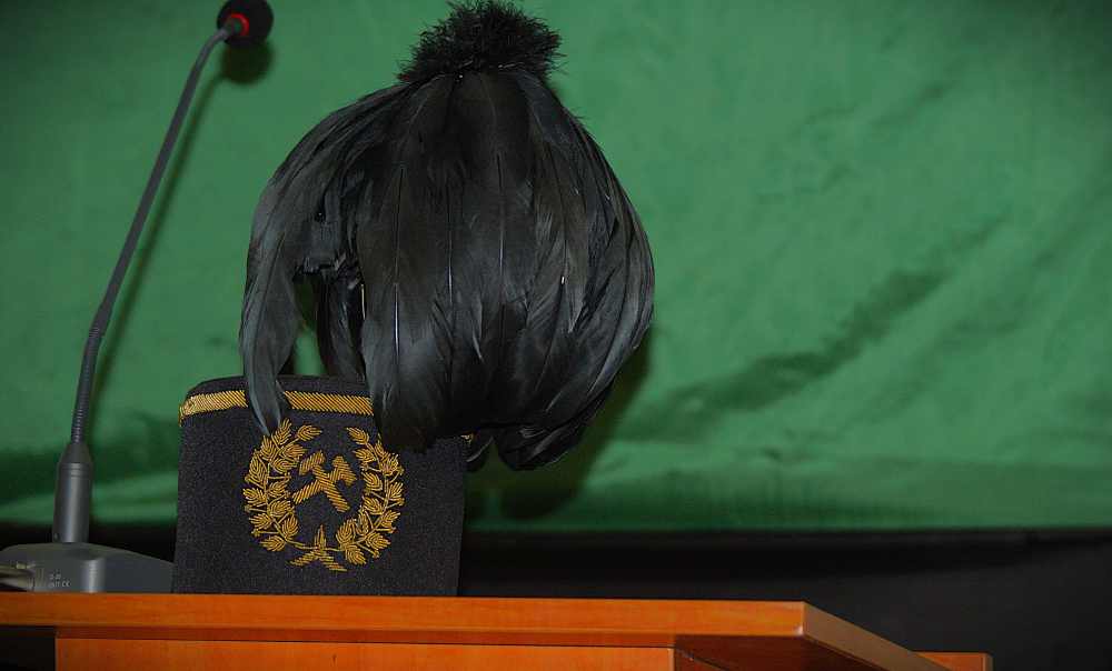 Czarny kapelusz sędziowski z piórami spoczywa na krześle ze złotymi haftowanymi insygniami, umieszczonym za drewnianym biurkiem z mikrofonem, na zielonym tle.